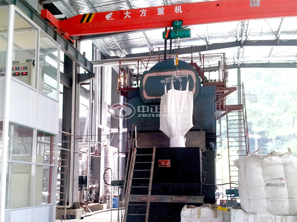8-10噸DZL系列生物質蒸汽鍋爐項目