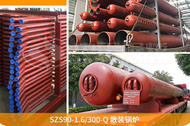 中正鍋爐為確保鍋爐項目順利展，向巴基斯坦提供了專業(yè)的技術指導